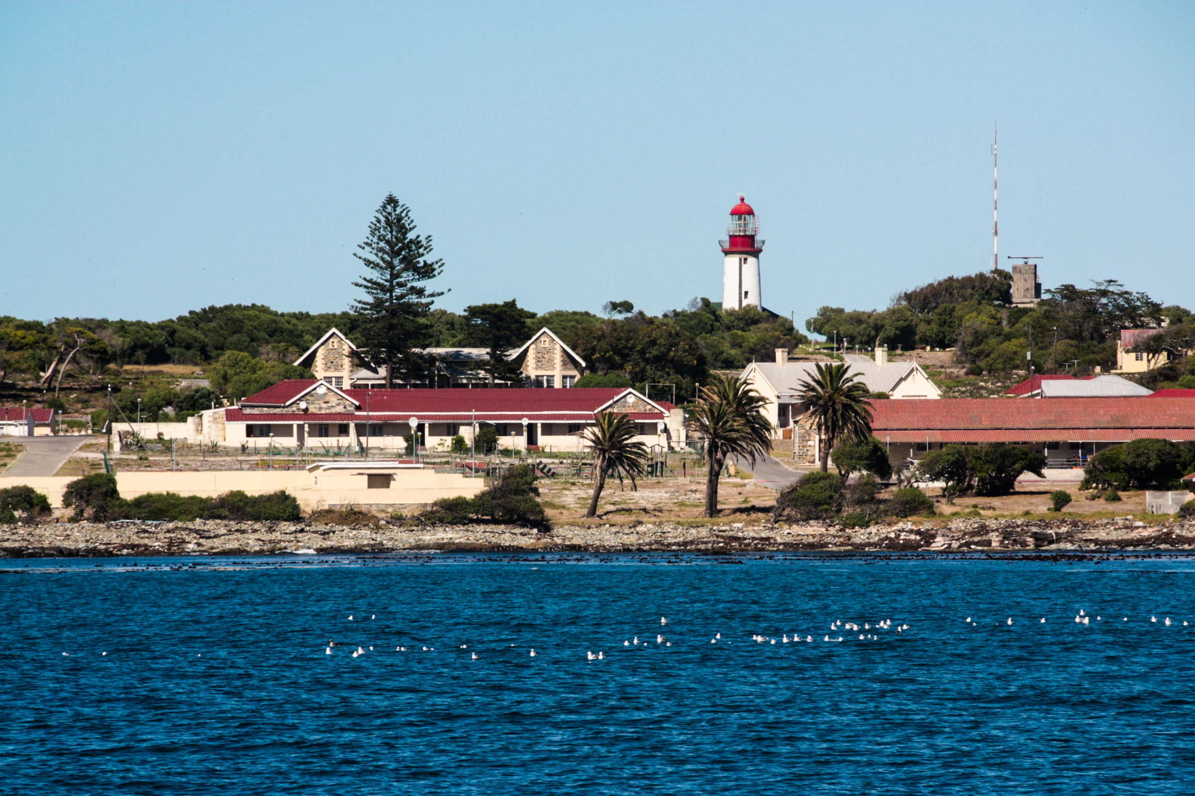 Robben_Island[1].webp